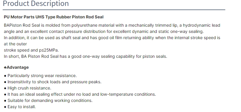 BA cylinder oil seal